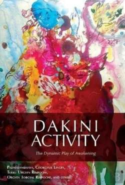 Bertrand.pt - Dakini Activity
