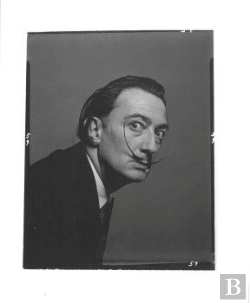 Bertrand.pt - Dalí By Halsman