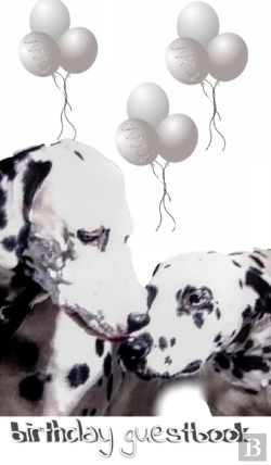 Bertrand.pt - Dalmatian Birthday Guest Book