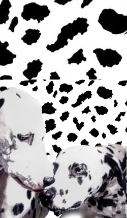Bertrand.pt - Dalmatian Drawing Writing Journal