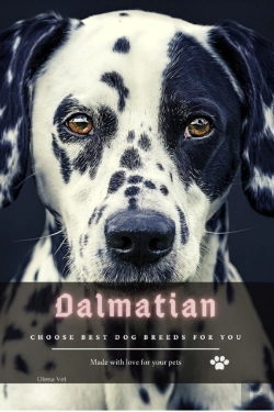 Bertrand.pt - Dalmatian