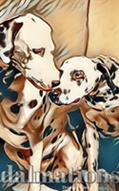 Dalmatian Writing Drawing Journal