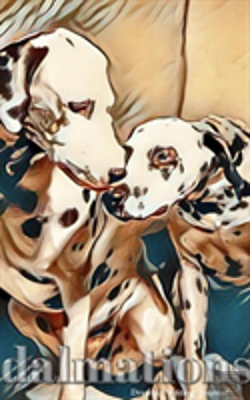Bertrand.pt - Dalmatian Writing Drawing Journal