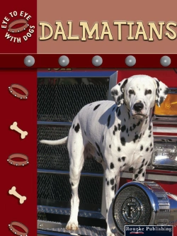 Bertrand.pt - Dalmatians