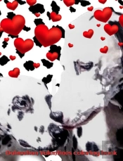 Dalmatians Valentine'S Mega  Blank  Page