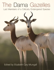 Dama Gazelles