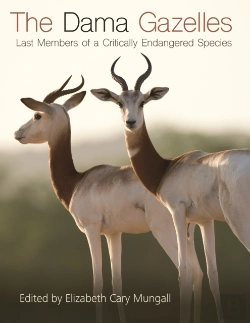 Bertrand.pt - Dama Gazelles