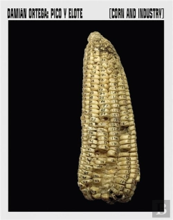 Bertrand.pt - Damian Ortega Corn And Industry /Anglais/Espagnol
