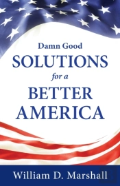 Damn Good Solutions For A Better America