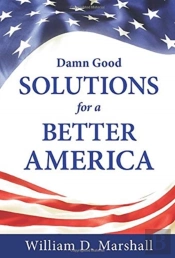 Damn Good Solutions For A Better America