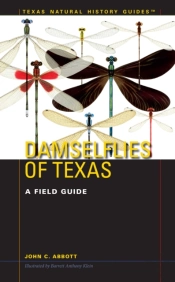 Damselflies Of Texas