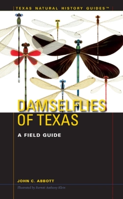 Bertrand.pt - Damselflies Of Texas