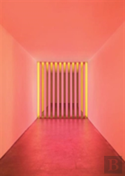 Dan Flavin: Corners, Barriers, And Corridors