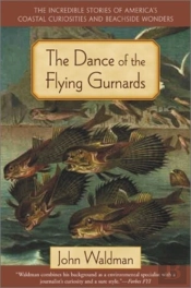 Dance Of The Flying Gurnards