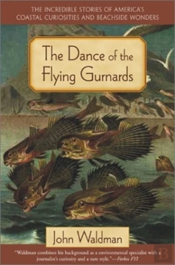 Bertrand.pt - Dance Of The Flying Gurnards