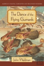 Dance Of The Flying Gurnards