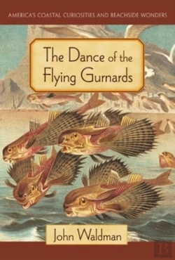 Bertrand.pt - Dance Of The Flying Gurnards