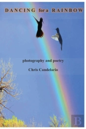 Dancing For A Rainbow