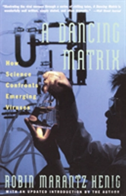 Bertrand.pt - Dancing Matrix