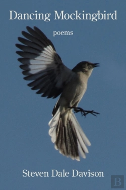 Bertrand.pt - Dancing Mockingbird