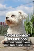 Dandie Dinmont Terrier Dog