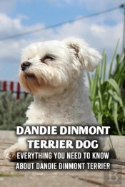 Dandie Dinmont Terrier Dog