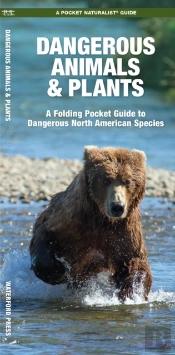Dangerous Animals & Plants