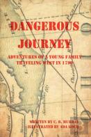 Dangerous Journey
