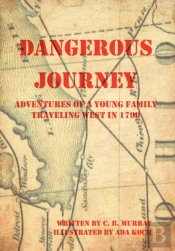 Dangerous Journey