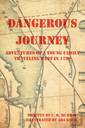 Dangerous Journey