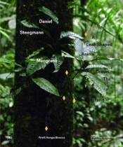 Daniel Steegmann Mangrane