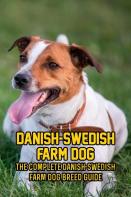 Danish-Swedish Farm Dog