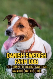 Danish-Swedish Farm Dog