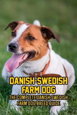 Bertrand.pt - Danish-Swedish Farm Dog