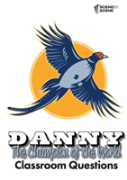 Danny The Champion Of The World Classroom Questions