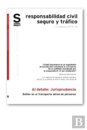 Daños En El Transporte Aéreo De Personas