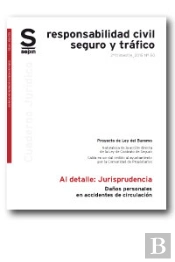Daños Personales En Accidentes De Circulacion