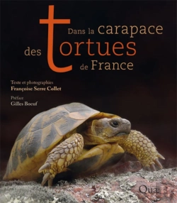 Bertrand.pt - Dans La Carapace Des Tortues De France