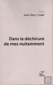 Dans La Dechirure De Mes Nuitamment