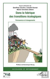 Dans La Fabrique Des Transitions Écologiques ; Permanence Et Changements