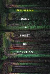 Dans La Forêt De Hokkaïdo