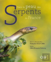Dans La Peau Des Serpents De France (2e Édition)