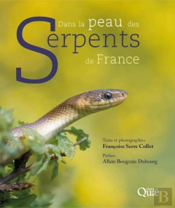 Bertrand.pt - Dans La Peau Des Serpents De France (2e Édition)