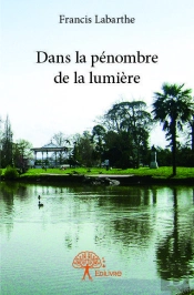 Dans La Penombre De La Lumiere