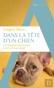 Dans La Tete D'Un Chien - Les Dernieres Decouvertes Sur Le Cerveau Animal