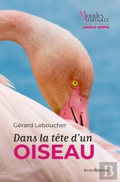 Dans La Tête D'Un Oiseau