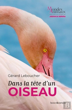 Bertrand.pt - Dans La Tête D'Un Oiseau