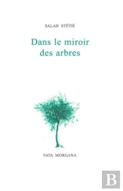 Dans Le Miroir Des Arbres