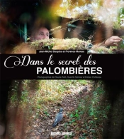 Dans Le Secret Des Palombières