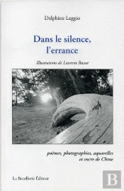 Dans Le Silence De L'Errance